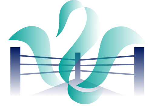 KNSRBoks Logo